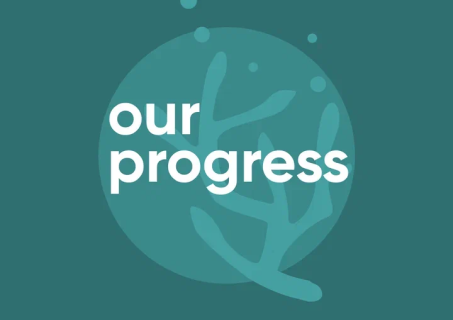 KELP FARMS: Seaweed Cultivation for a Sustainable Future