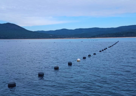 Do you know how seaweed is grown?